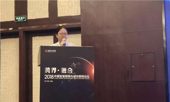 四川省電氣照明學會常務理事長黃云飛女士