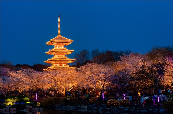 古建筑亮化設(shè)計(jì)